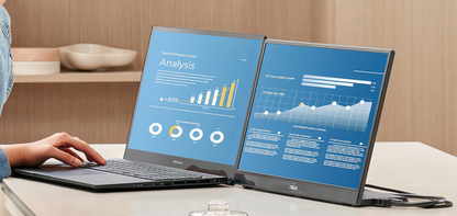 ASUS ZenScreen MB16QHG Portable Monitor