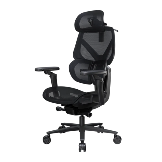 ThunderX3 FLEX PRO Ergonomic Chair – Mesh Black