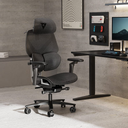 ThunderX3 FLEX PRO Ergonomic Chair – Mesh Black