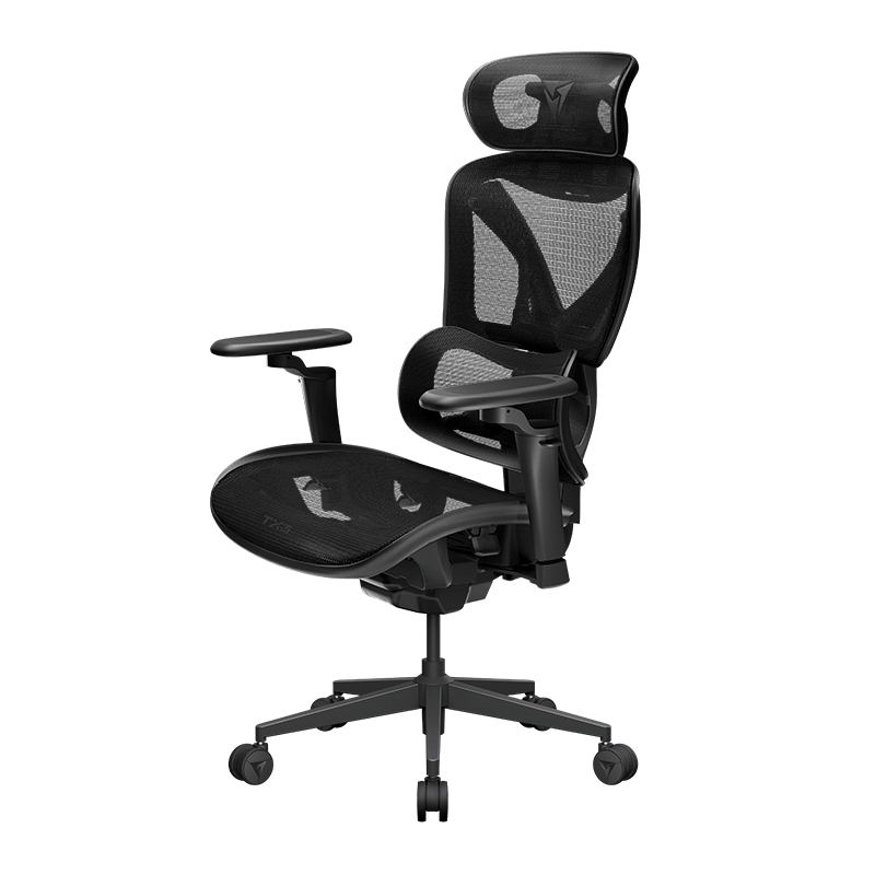 ThunderX3 XTC PRO Ergonomic Chair – Mesh Black